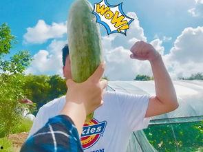 今日吃瓜热门大瓜网红黑料91